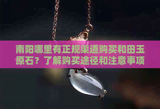 南阳哪里有正规渠道购买和田玉原石？了解购买途径和注意事项