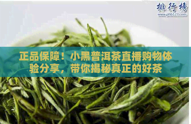 正品保障！小黑普洱茶直播购物体验分享，带你揭秘真正的好茶