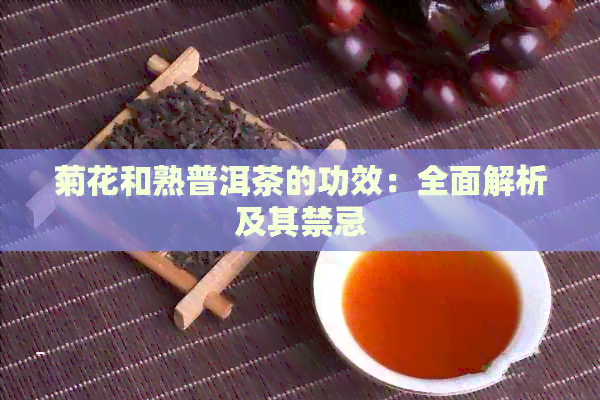 菊花和熟普洱茶的功效：全面解析及其禁忌