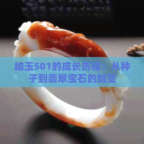 岫玉501的成长历程：从种子到翡翠宝石的蜕变