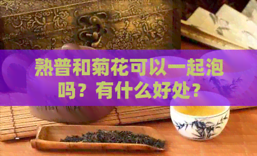 熟普和菊花可以一起泡吗？有什么好处？