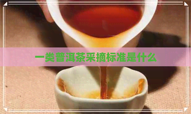 一类普洱茶采摘标准是什么