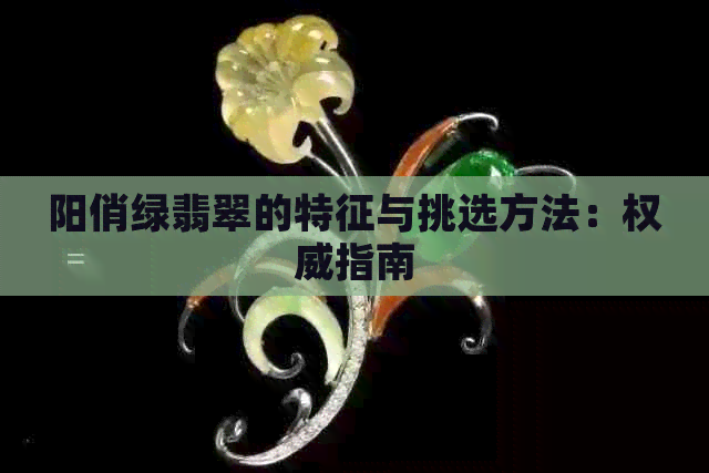 阳俏绿翡翠的特征与挑选方法：权威指南