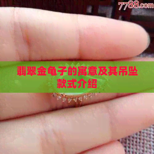 翡翠金龟子的寓意及其吊坠款式介绍