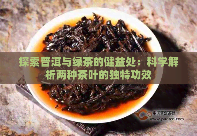 探索普洱与绿茶的健益处：科学解析两种茶叶的独特功效