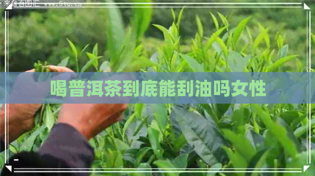 喝普洱茶到底能刮油吗女性