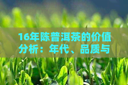 16年陈普洱茶的价值分析：年代、品质与市场趋势