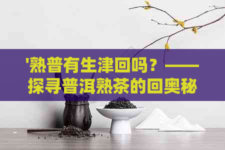 '熟普有生津回吗？——探寻普洱熟茶的回奥秘'