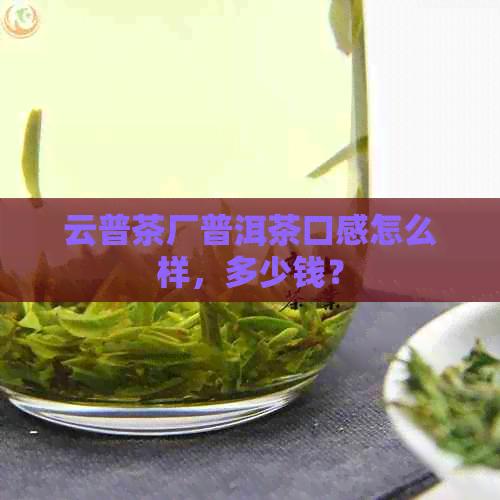 云普茶厂普洱茶口感怎么样，多少钱？