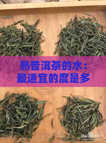 熟普洱茶的水：最适宜的度是多少？