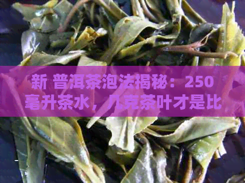 新 普洱茶泡法揭秘：250毫升茶水，几克茶叶才是比例？