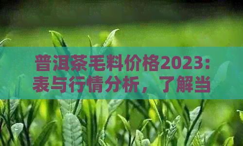 普洱茶毛料价格2023:表与行情分析，了解当前市场价！