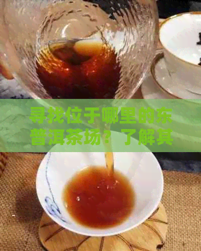 寻找位于哪里的东普洱茶场？了解其地理位置和主要特色