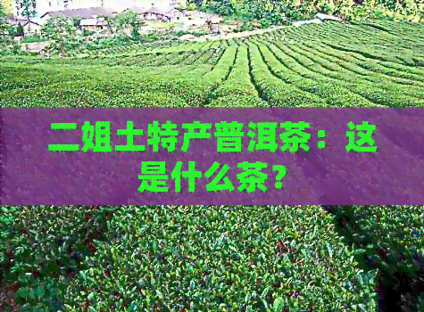 二姐土特产普洱茶：这是什么茶？