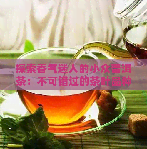 探索香气迷人的小众普洱茶：不可错过的茶叶品种推荐