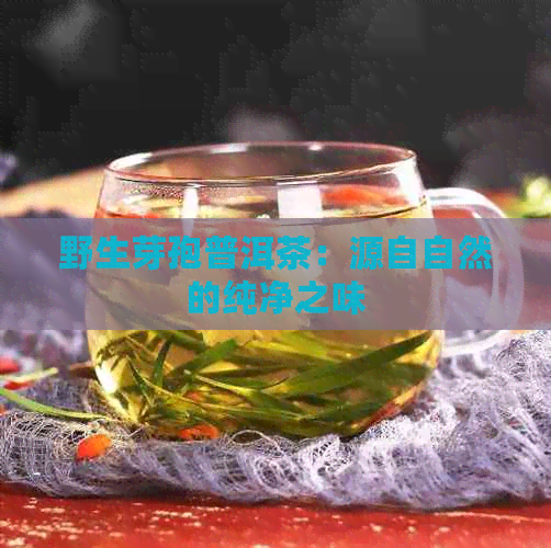 野生芽孢普洱茶：源自自然的纯净之味