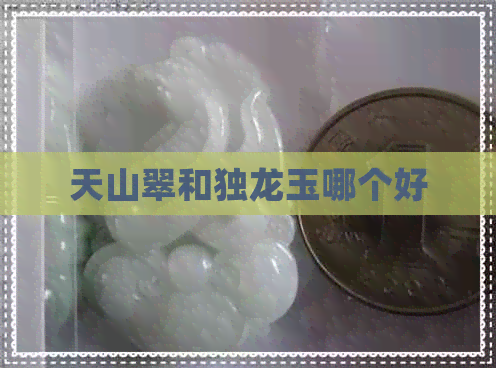 天山翠和独龙玉哪个好