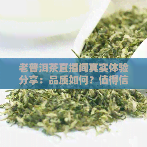 老普洱茶直播间真实体验分享：品质如何？值得信吗？