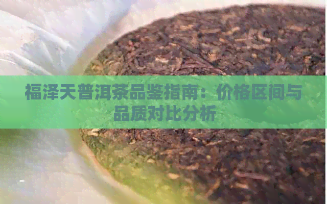 福泽天普洱茶品鉴指南：价格区间与品质对比分析