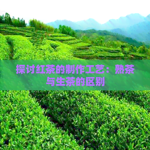 探讨红茶的制作工艺：熟茶与生茶的区别