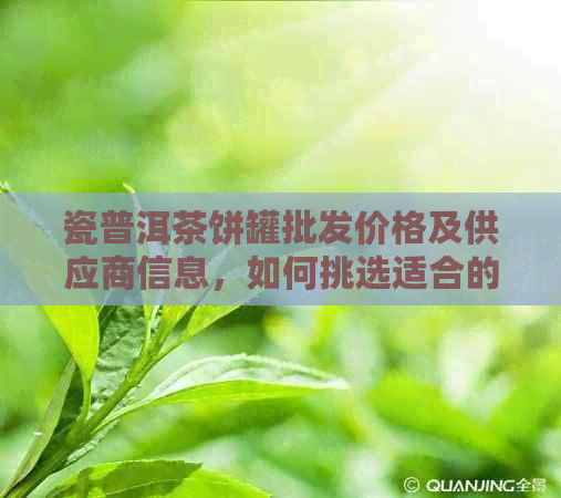 瓷普洱茶饼罐批发价格及供应商信息，如何挑选适合的瓷茶饼罐？