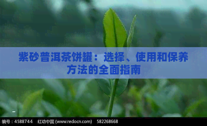 紫砂普洱茶饼罐：选择、使用和保养方法的全面指南