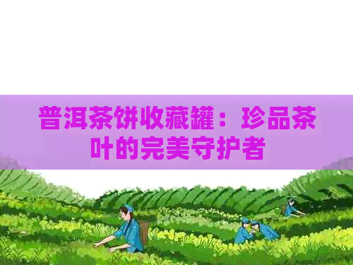 普洱茶饼收藏罐：珍品茶叶的完美守护者