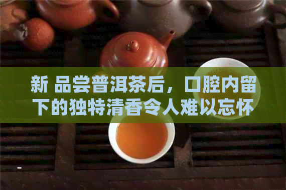 新 品尝普洱茶后，口腔内留下的独特清香令人难以忘怀