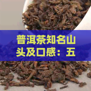 普洱茶知名山头及口感：五种山头普洱茶的名称与基本特性