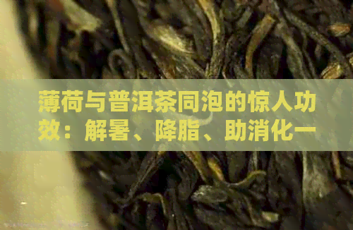 薄荷与普洱茶同泡的惊人功效：解暑、降脂、助消化一网打尽！