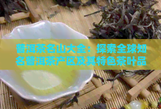 普洱茶名山大全：探索全球知名普洱茶产区及其特色茶叶品种