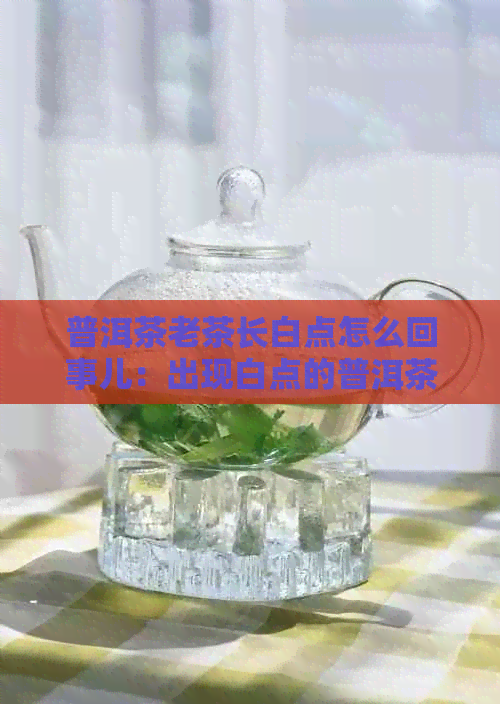 普洱茶老茶长白点怎么回事儿：出现白点的普洱茶还能喝吗？