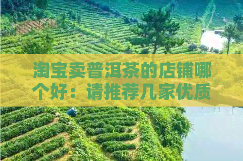 淘宝卖普洱茶的店铺哪个好：请推荐几家优质的普洱茶店铺，谢谢！