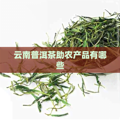 云南普洱茶助农产品有哪些