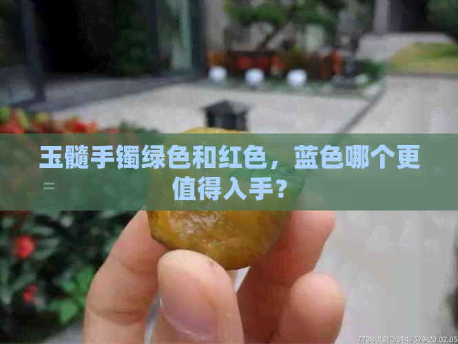 玉髓手镯绿色和红色，蓝色哪个更值得入手？