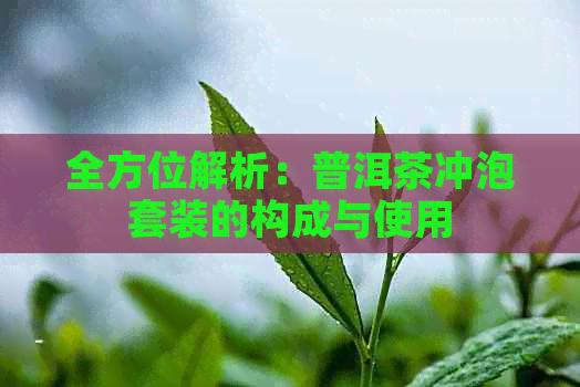 全方位解析：普洱茶冲泡套装的构成与使用