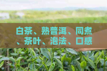 白茶、熟普洱、同煮、茶叶、泡法、口感、营养成分、饮品制作、混合搭配