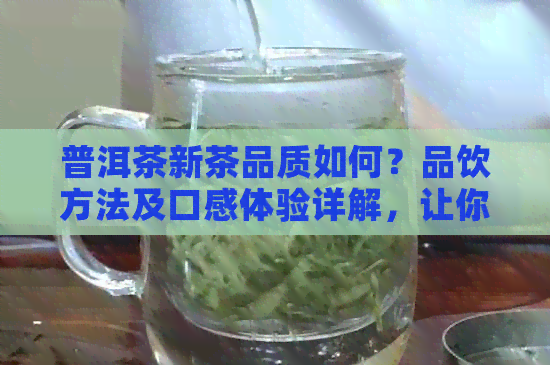 普洱茶新茶品质如何？品饮方法及口感体验详解，让你全面了解普洱新茶！