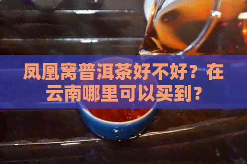 凤凰窝普洱茶好不好？在云南哪里可以买到？