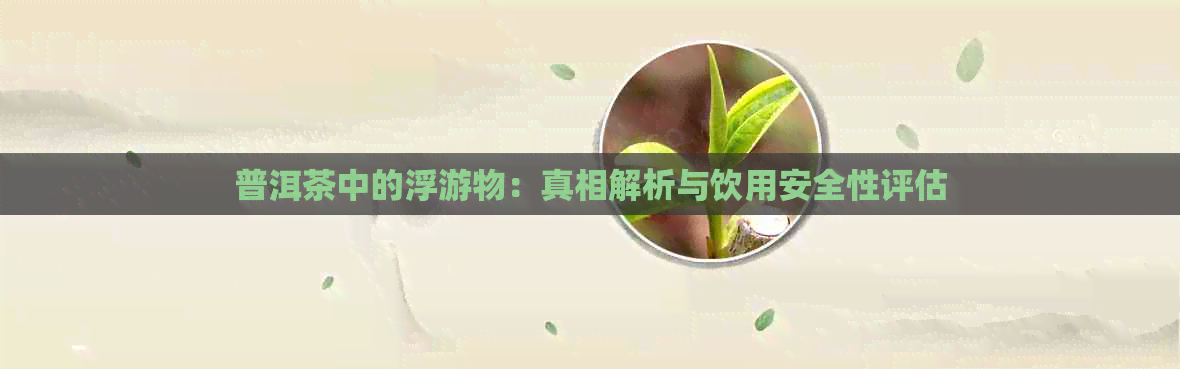 普洱茶中的浮游物：真相解析与饮用安全性评估