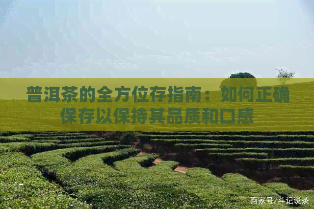 普洱茶的全方位存指南：如何正确保存以保持其品质和口感