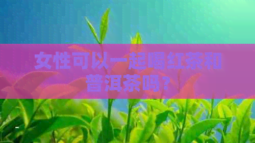 女性可以一起喝红茶和普洱茶吗？