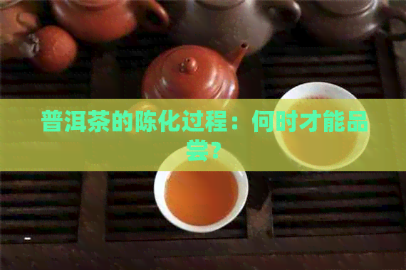 普洱茶的陈化过程：何时才能品尝？