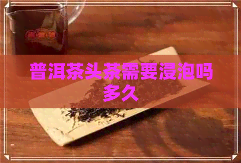 普洱茶头茶需要浸泡吗多久