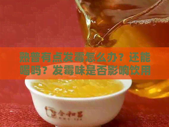 熟普有点发霉怎么办？还能喝吗？发霉味是否影响饮用？