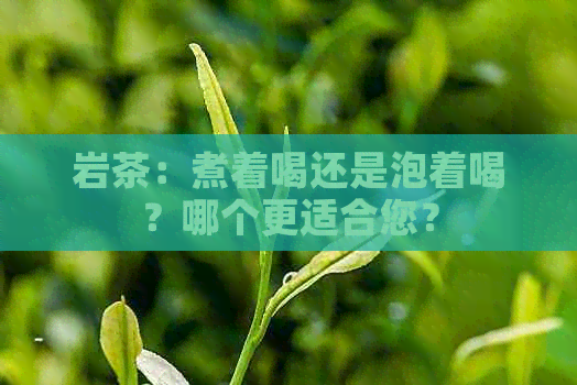 岩茶：煮着喝还是泡着喝？哪个更适合您？