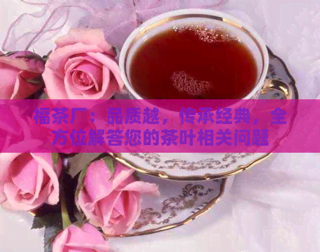 福茶厂：品质越，传承经典，全方位解答您的茶叶相关问题