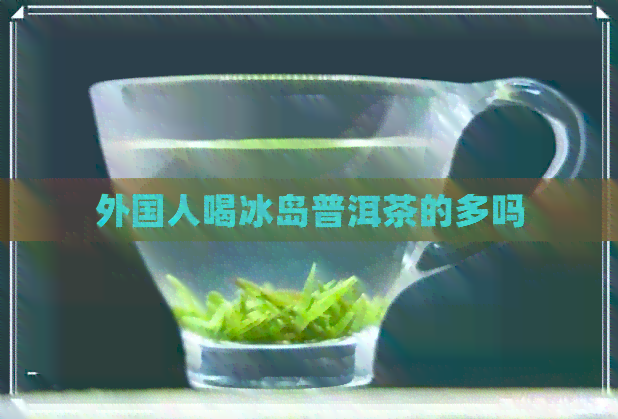 外国人喝冰岛普洱茶的多吗