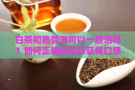 白茶和熟普洱可以一起泡吗？如何正确搭配以获得口感？