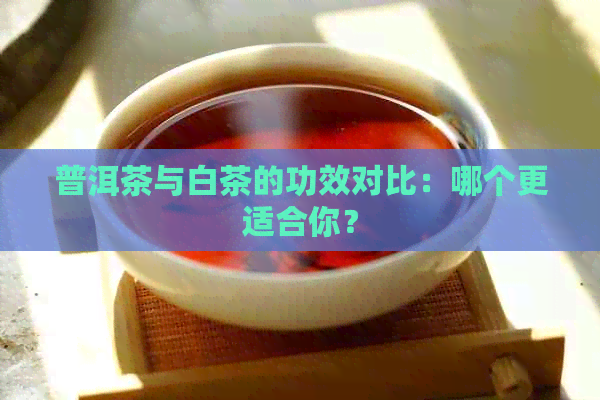 普洱茶与白茶的功效对比：哪个更适合你？